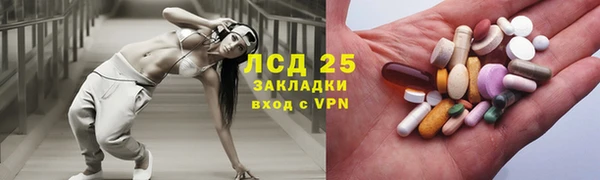 соль ск Бородино