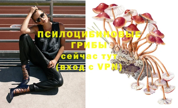соль курить ск Бугульма